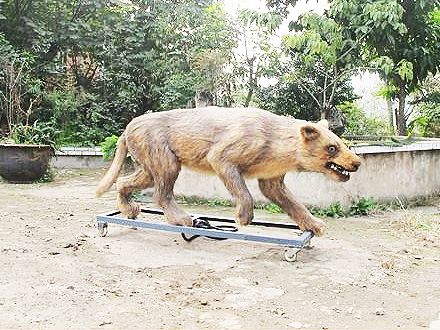 仿真動物