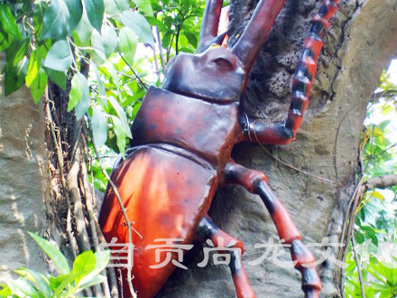 甲殼蟲(chóng)