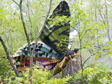 飛蛾