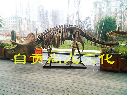 4米三角龍化石骨架