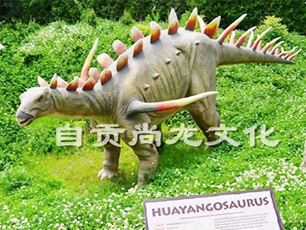 華陽(yáng)龍